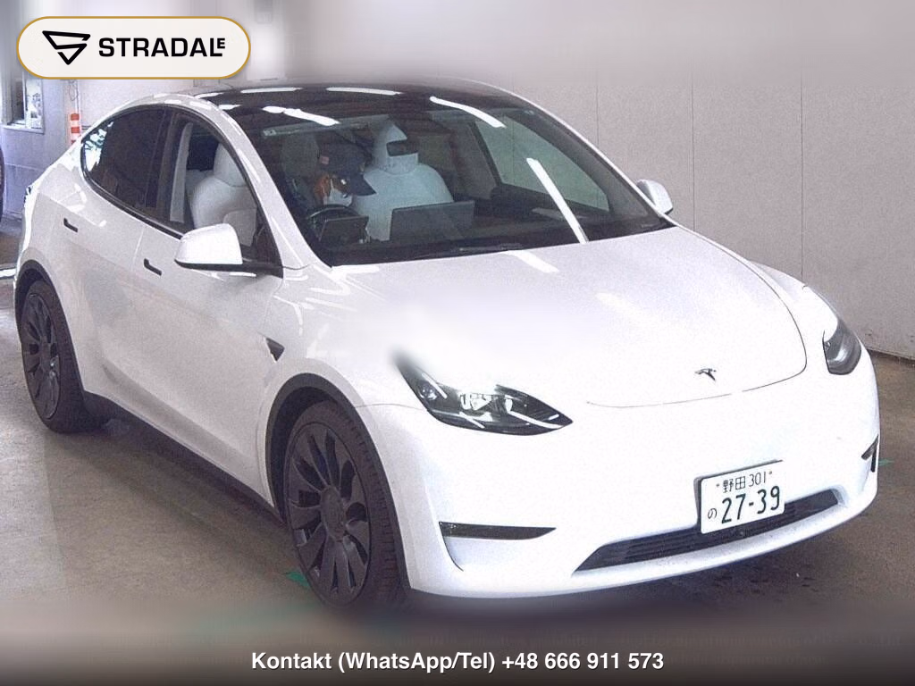 TESLA MODEL Y 4WD PERFORMANCE, miniaturka 2
