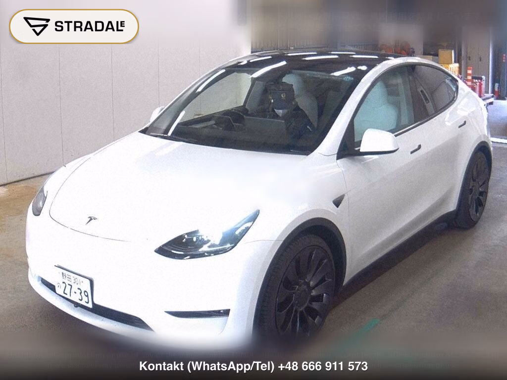 TESLA MODEL Y 4WD PERFORMANCE, miniaturka 5