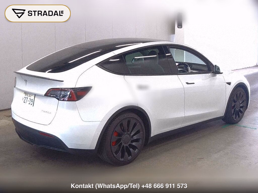 TESLA MODEL Y 4WD PERFORMANCE, miniaturka 6