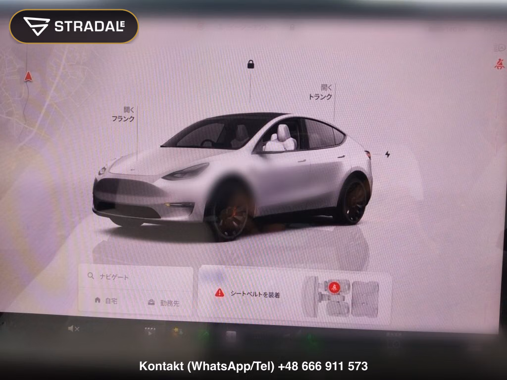 TESLA MODEL Y 4WD PERFORMANCE, miniaturka 7