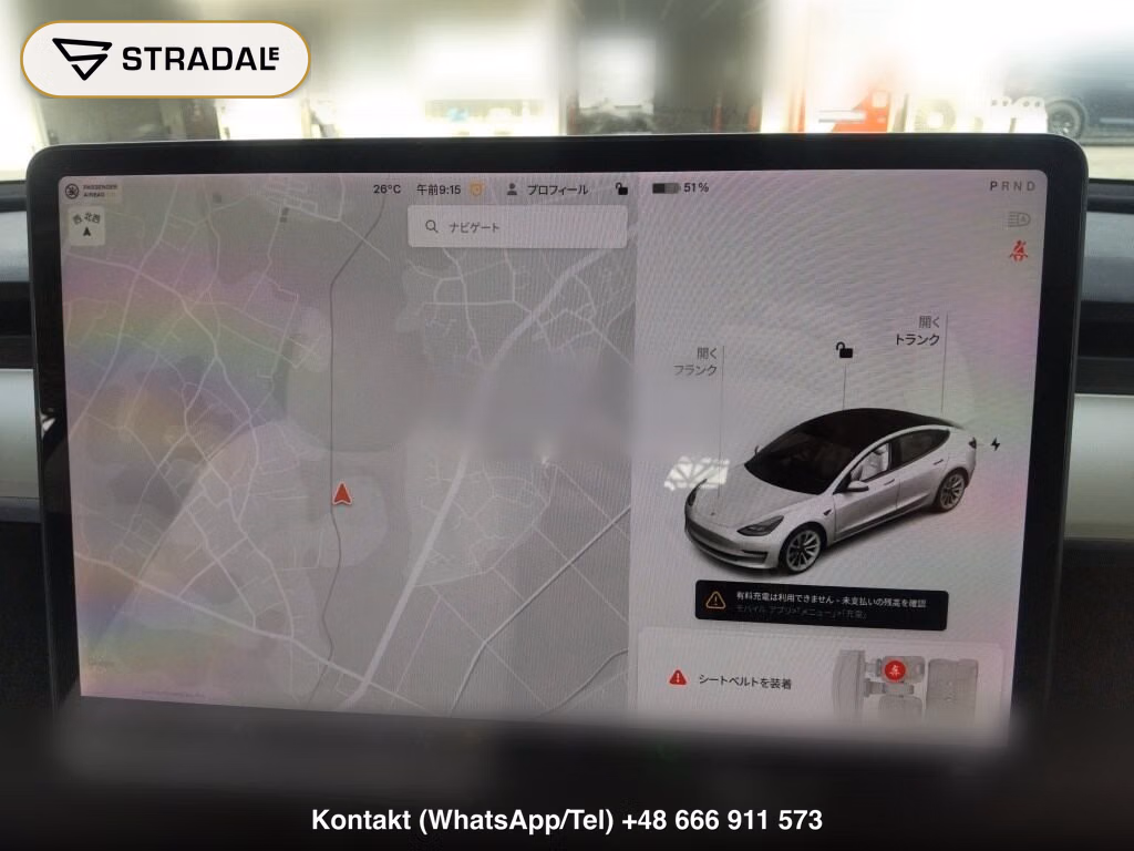 TESLA MODEL 3 4WD LONG RANGE, miniaturka 7