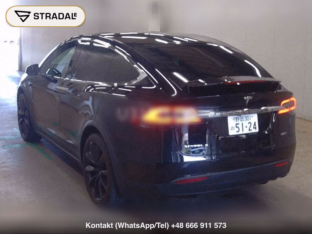 TESLA MODEL X 4WD 100D, miniaturka 3
