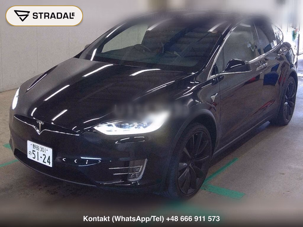 TESLA MODEL X 4WD 100D, miniaturka 5
