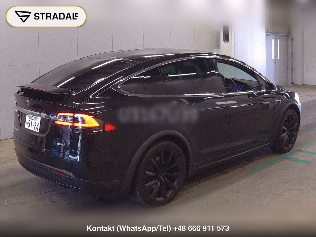 TESLA MODEL X 4WD 100D, miniaturka 6