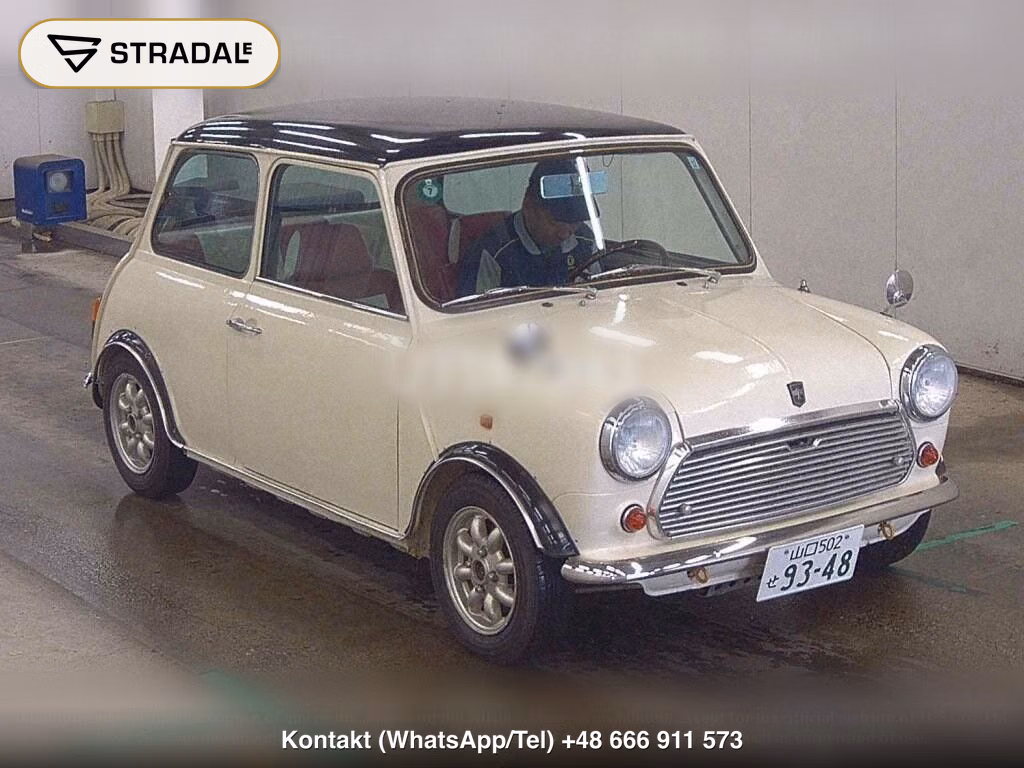ROVER MINI 2D, miniaturka 2