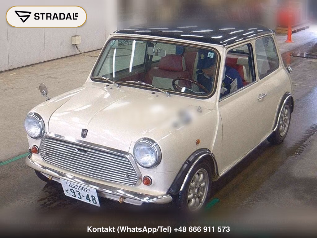 ROVER MINI 2D, miniaturka 5