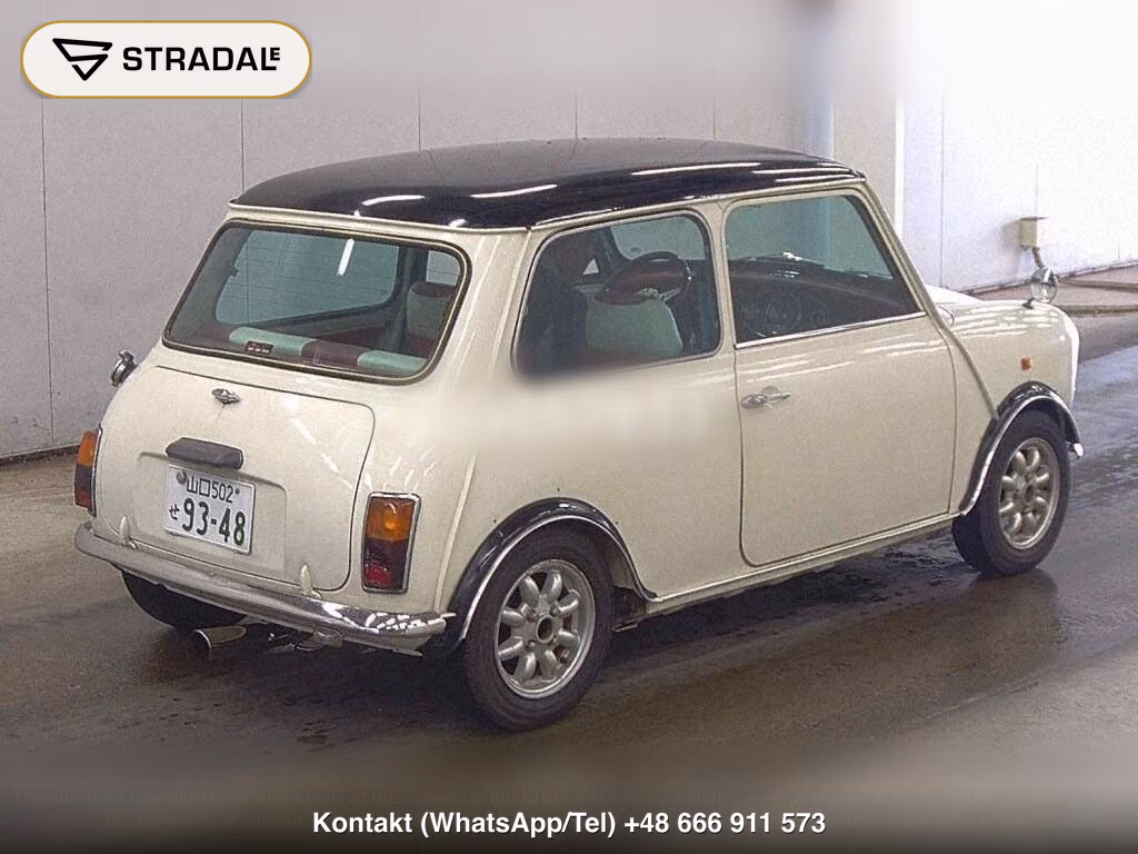 ROVER MINI 2D, miniaturka 6
