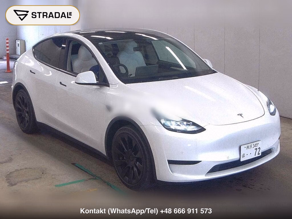 TESLA MODEL Y RWD, miniaturka 2