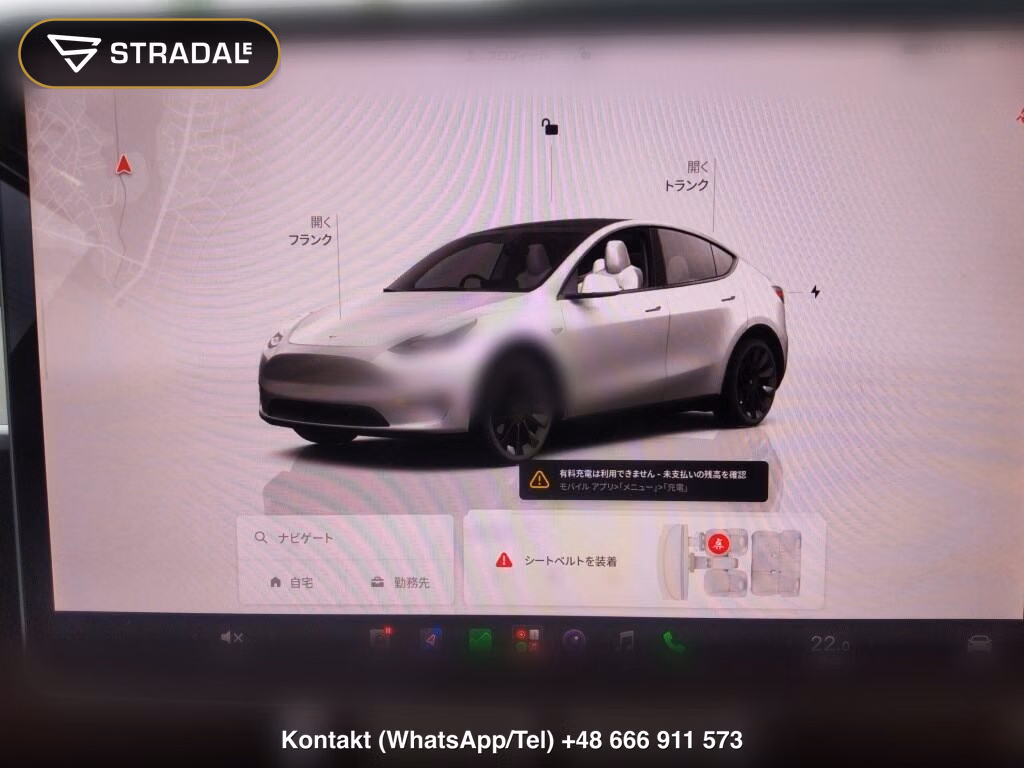 TESLA MODEL Y RWD, miniaturka 7