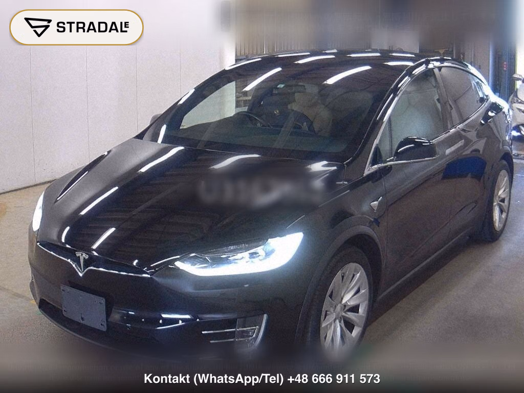 TESLA MODEL X 4WD, miniaturka 5