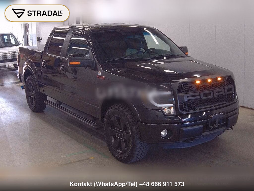 FORD F-150 4D 4WD, miniaturka 2