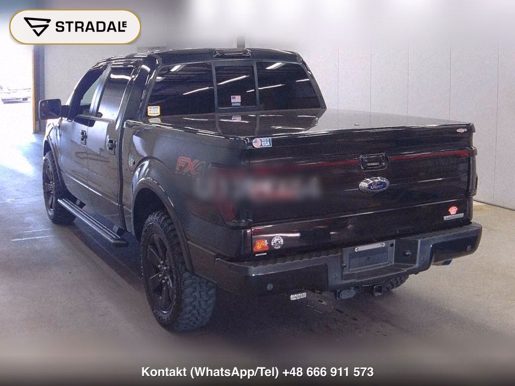 FORD F-150 4D 4WD, miniaturka 3
