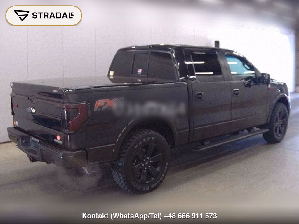 FORD F-150 4D 4WD, miniaturka 6