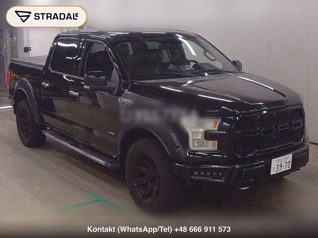 FORD F-150 4D 4WD OTHERS, miniaturka 2