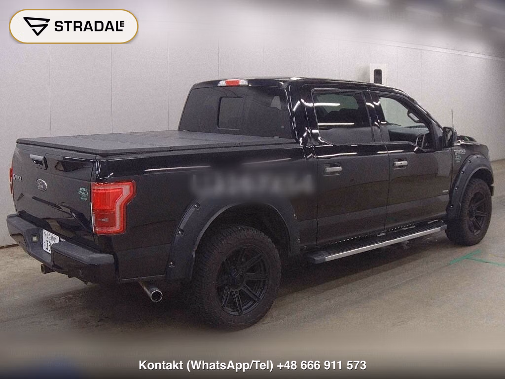 FORD F-150 4D 4WD OTHERS, miniaturka 6