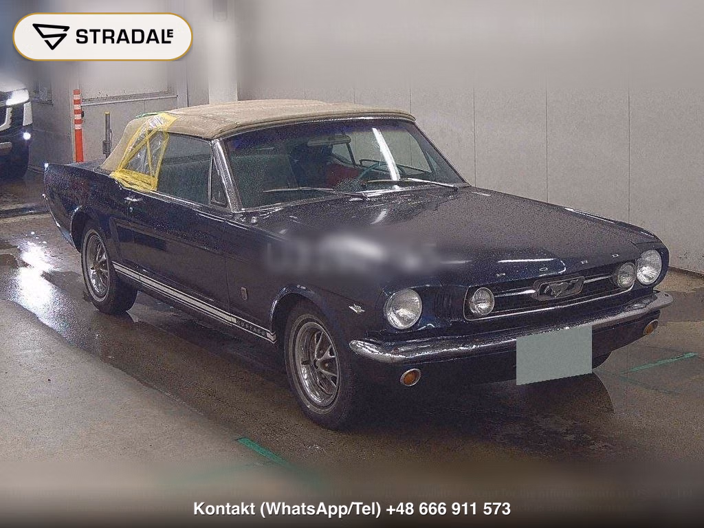 FORD MUSTANG OP OTHERS, miniaturka 2