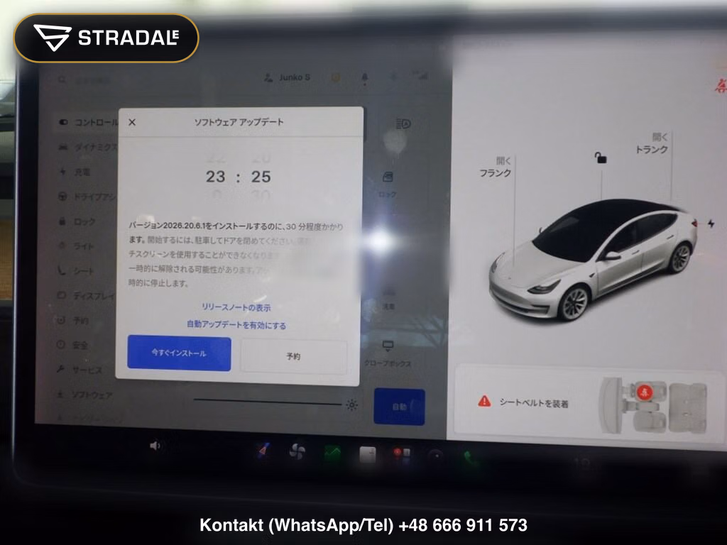 TESLA MODEL 3 4WD LONG RANGE, miniaturka 7