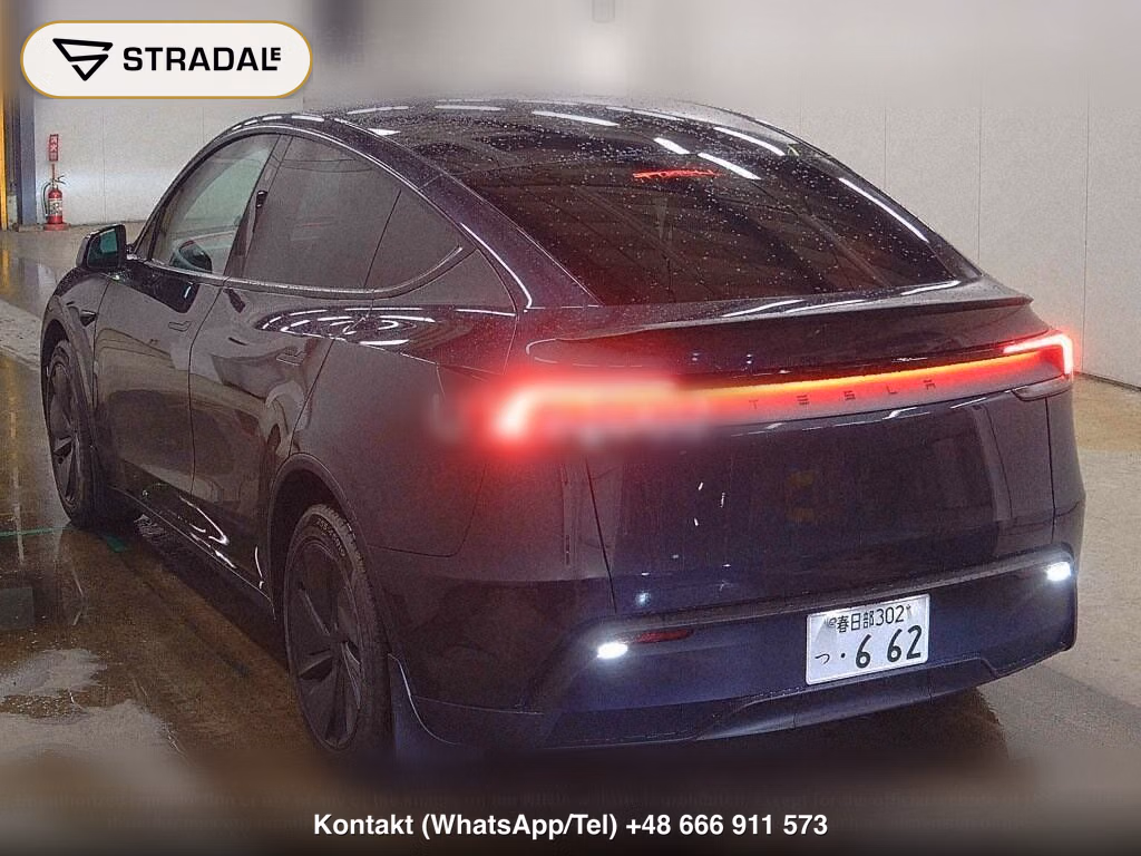 TESLA MODEL Y RWD, miniaturka 3