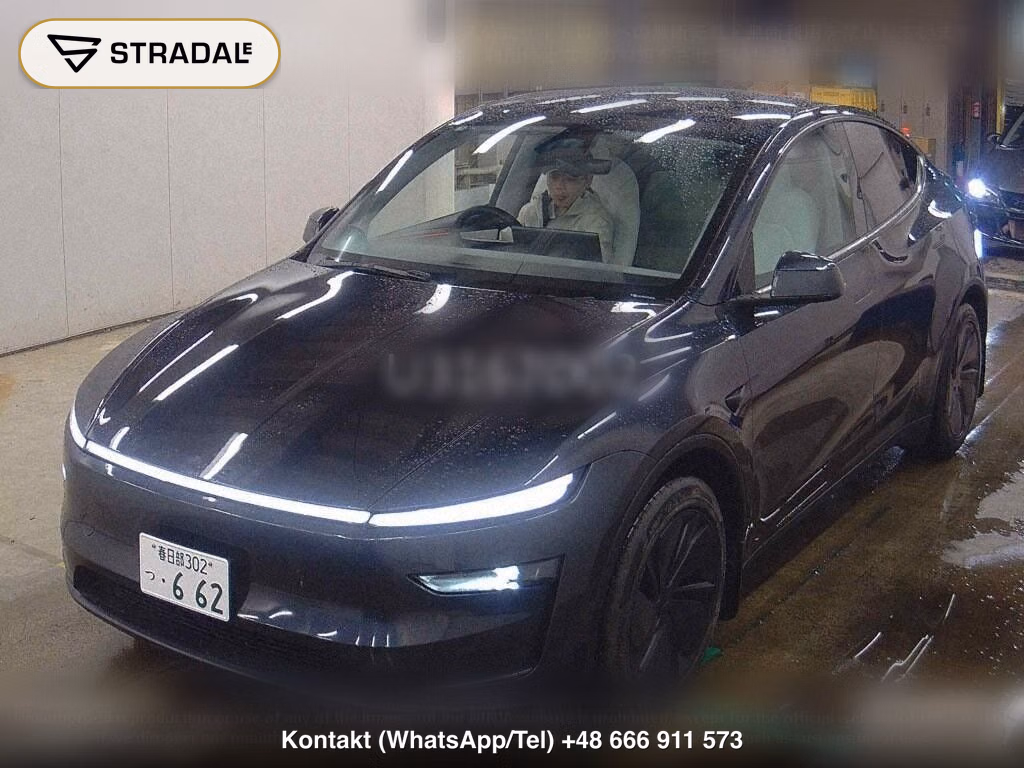 TESLA MODEL Y RWD, miniaturka 5
