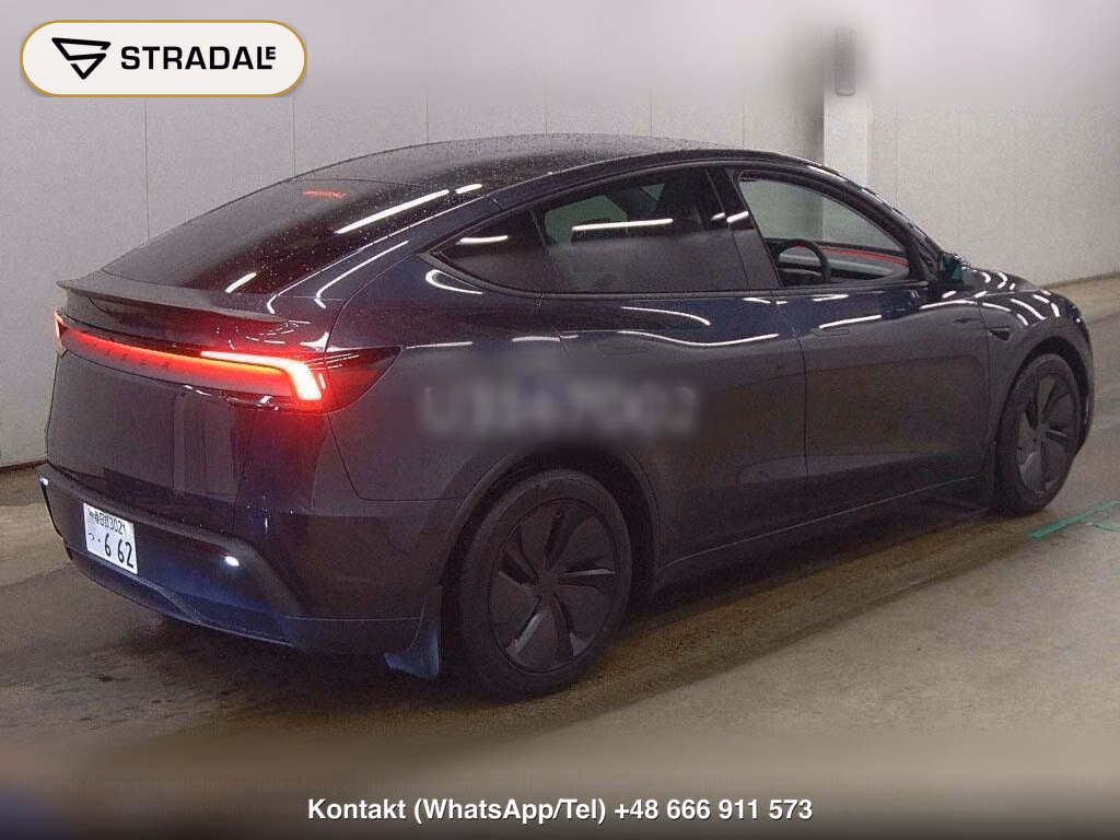 TESLA MODEL Y RWD, miniaturka 6