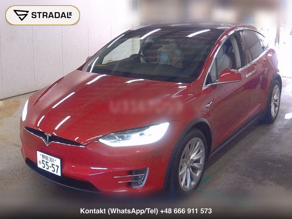 TESLA MODEL X 4WD 75D, miniaturka 5