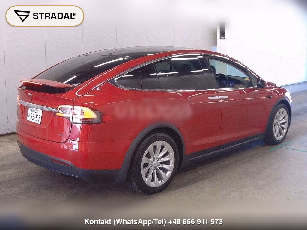 TESLA MODEL X 4WD 75D, miniaturka 6