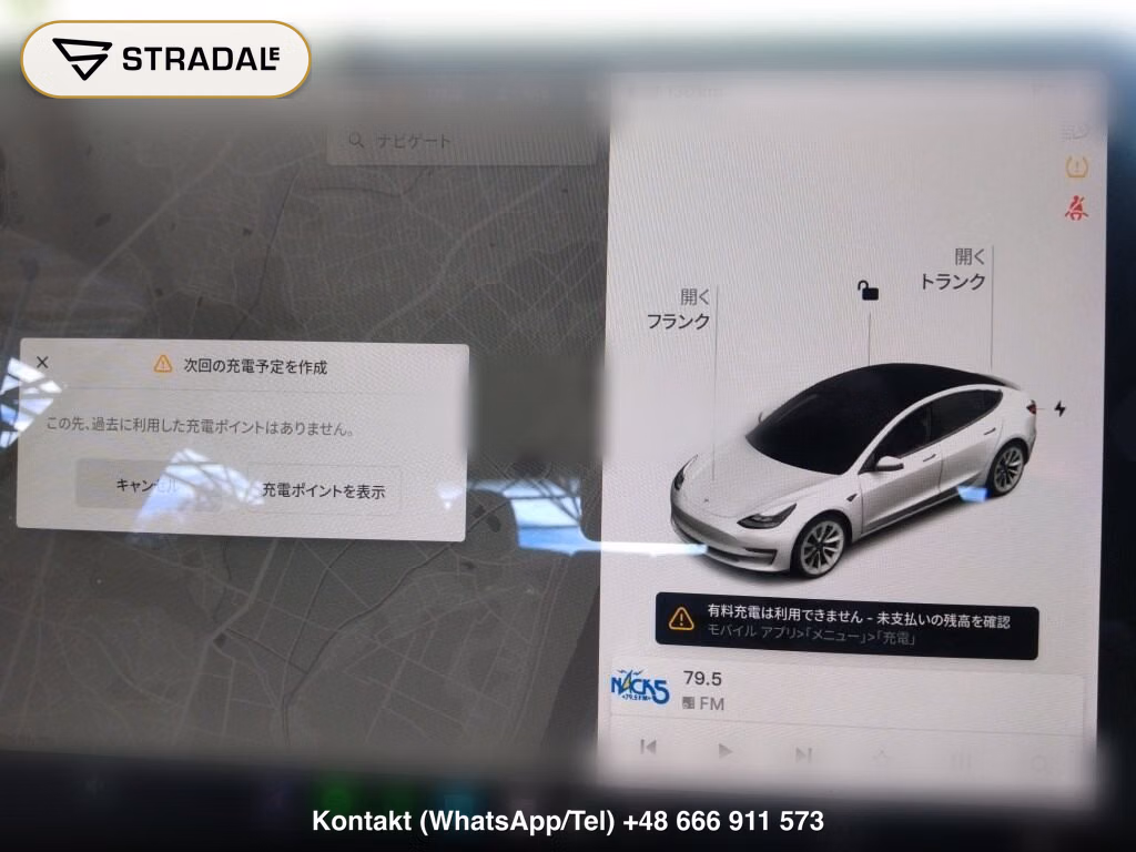 TESLA MODEL 3 4WD LONG RANGE, miniaturka 7