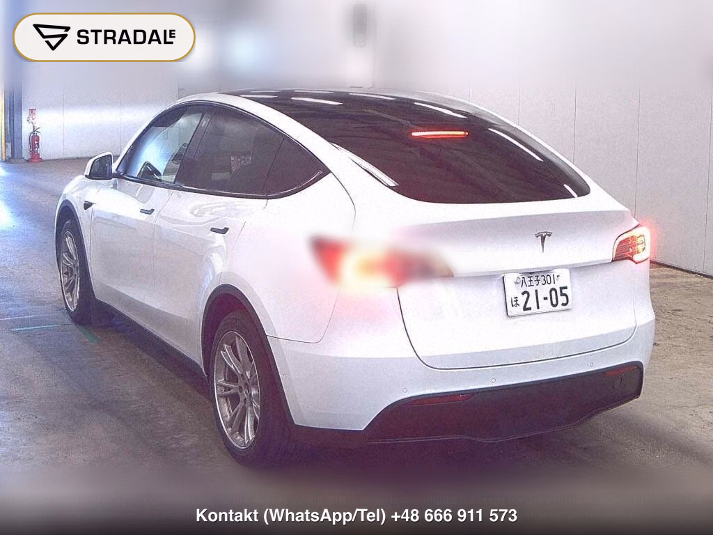 TESLA MODEL Y 4WD LONG RANGE, miniaturka 3