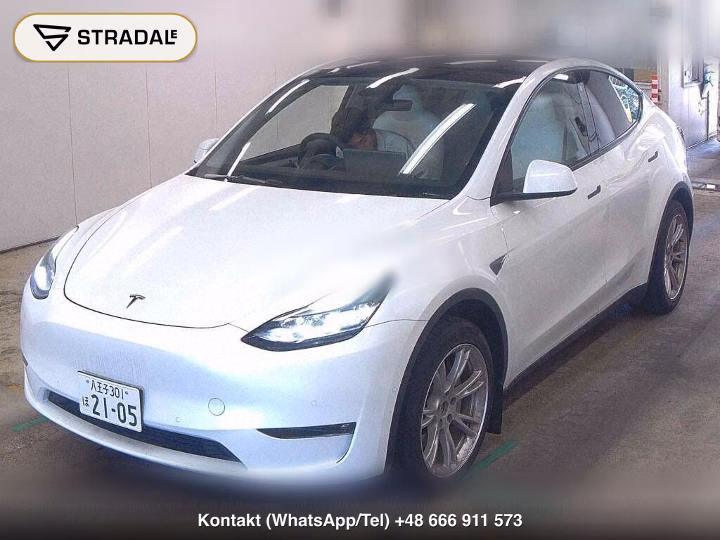 TESLA MODEL Y 4WD LONG RANGE, miniaturka 5