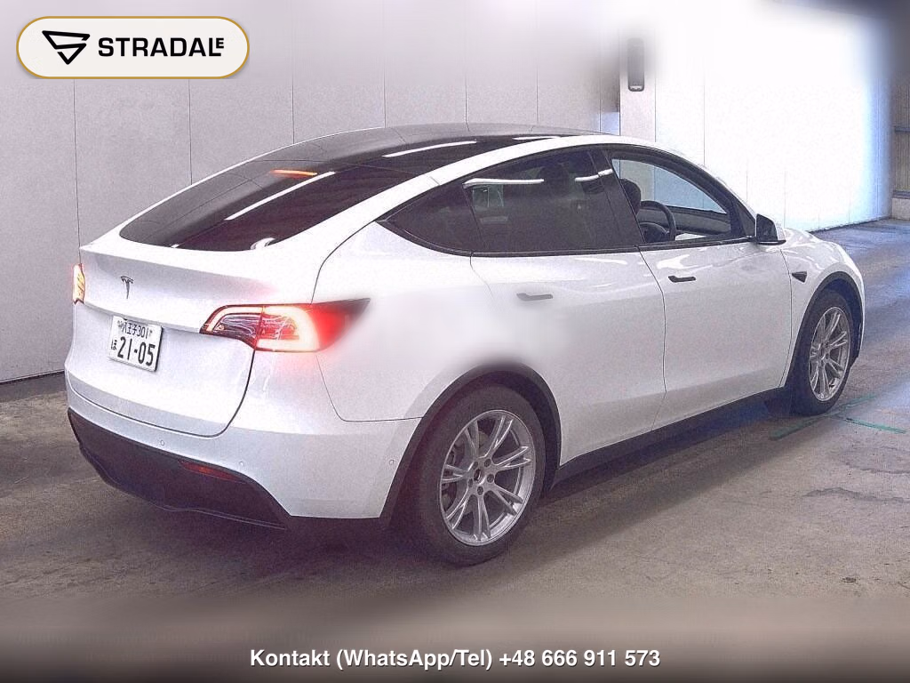 TESLA MODEL Y 4WD LONG RANGE, miniaturka 6