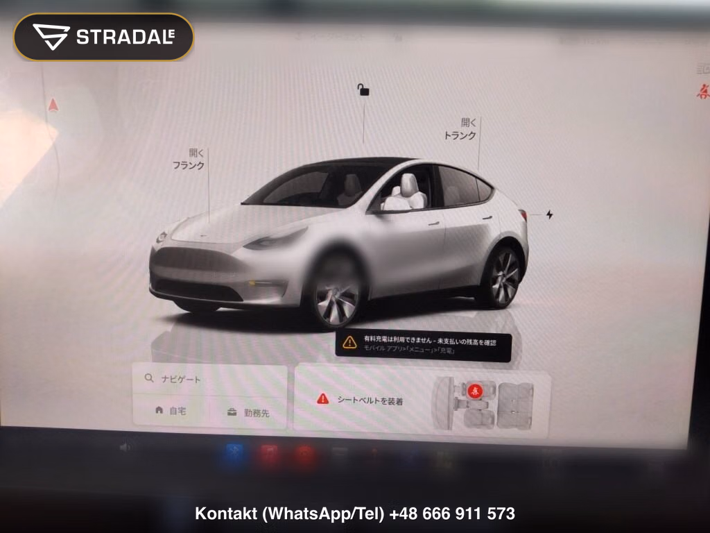 TESLA MODEL Y 4WD LONG RANGE, miniaturka 7