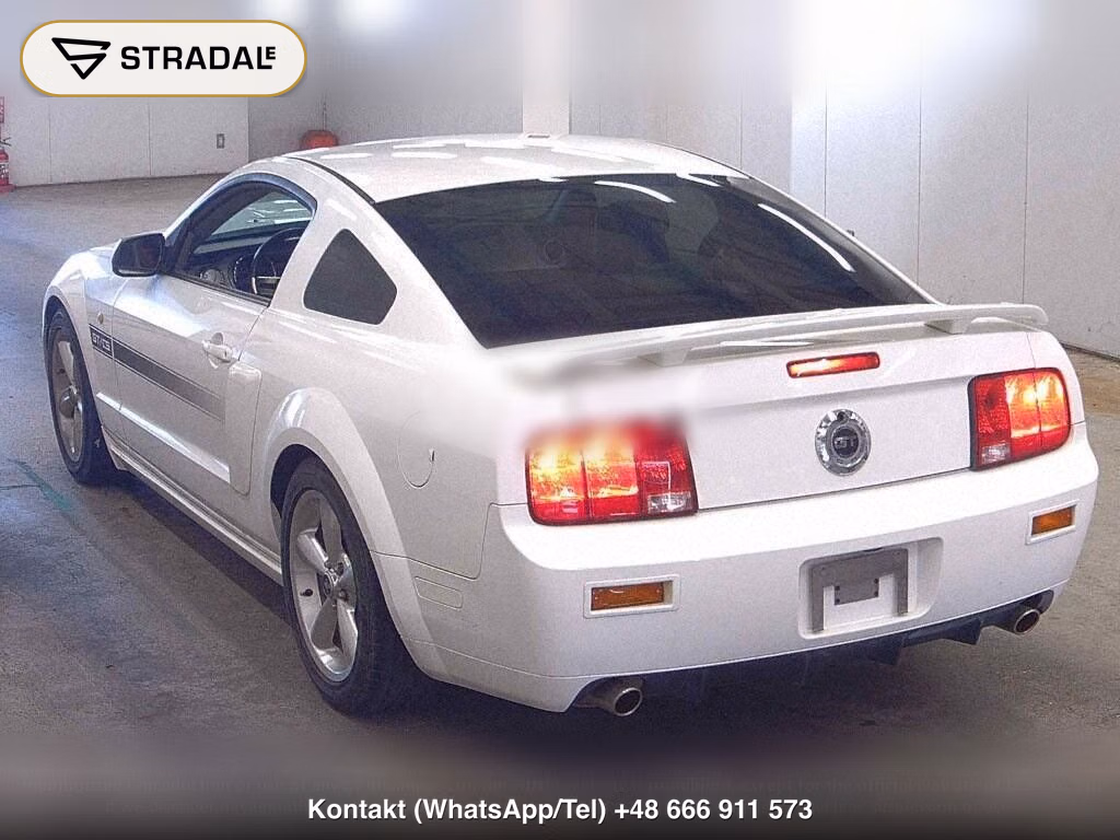 FORD MUSTANG CP, miniaturka 3