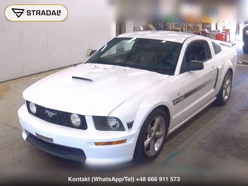 FORD MUSTANG CP, miniaturka 5