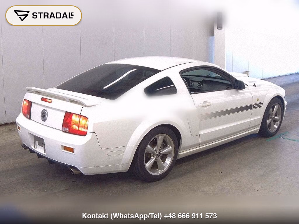 FORD MUSTANG CP, miniaturka 6