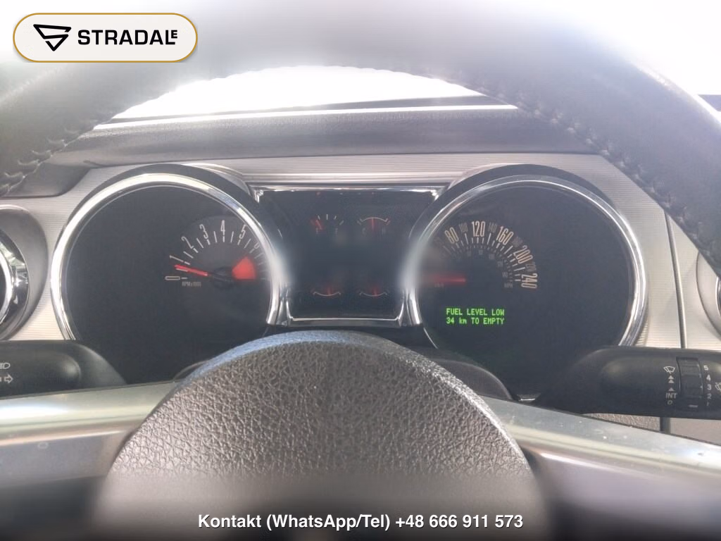 FORD MUSTANG CP, miniaturka 7