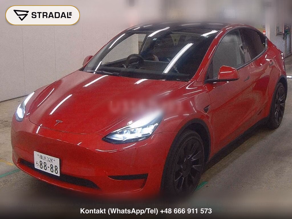 TESLA MODEL Y RWD, miniaturka 5