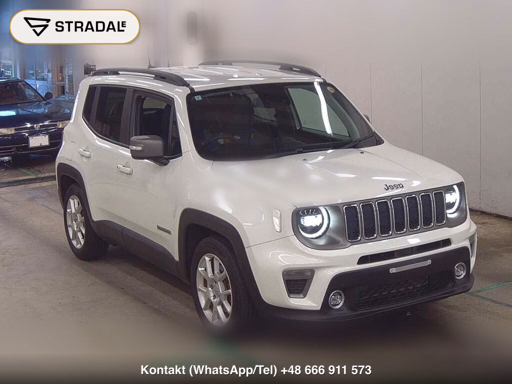 CHRYSLER JEEP JEEP RENEGADE LIMITED 2019, aukcja z Japonii, zdjęcie 1