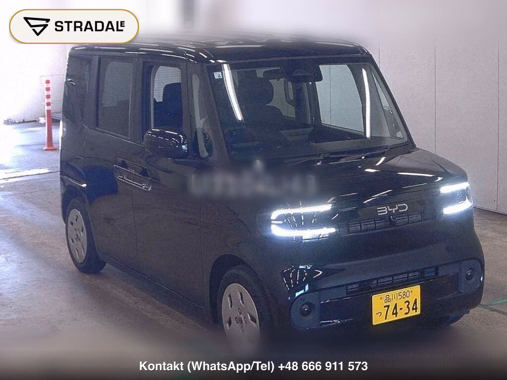 BYD RACCO 200, miniaturka 2