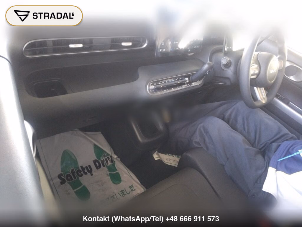 BYD RACCO 200, miniaturka 4