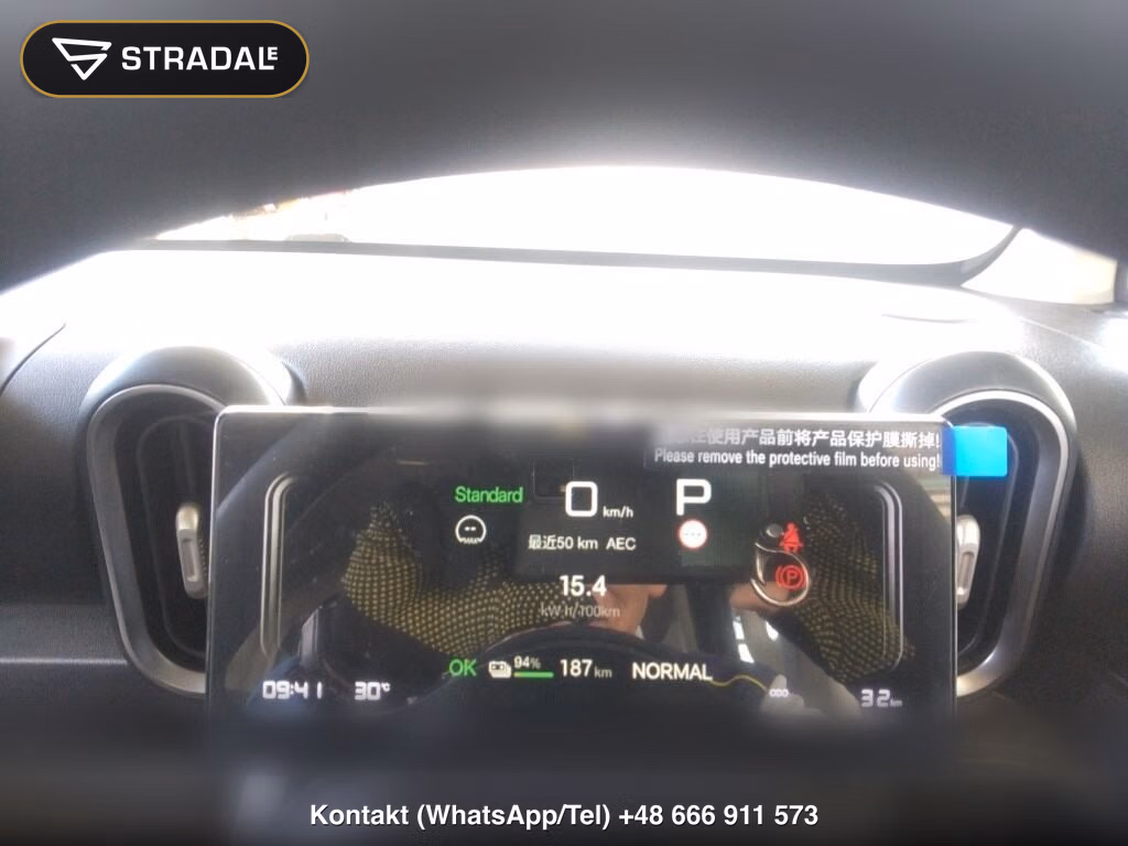 BYD RACCO 200, miniaturka 7