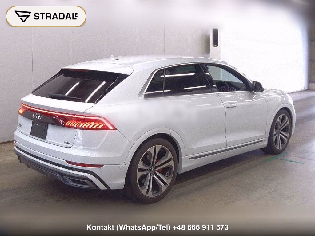 AUDI Q8 4WD OTHERS, miniaturka 6