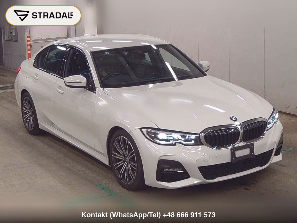 BMW 3 SERIES 4D OTHERS 2019, aukcja z Japonii, zdjęcie 1