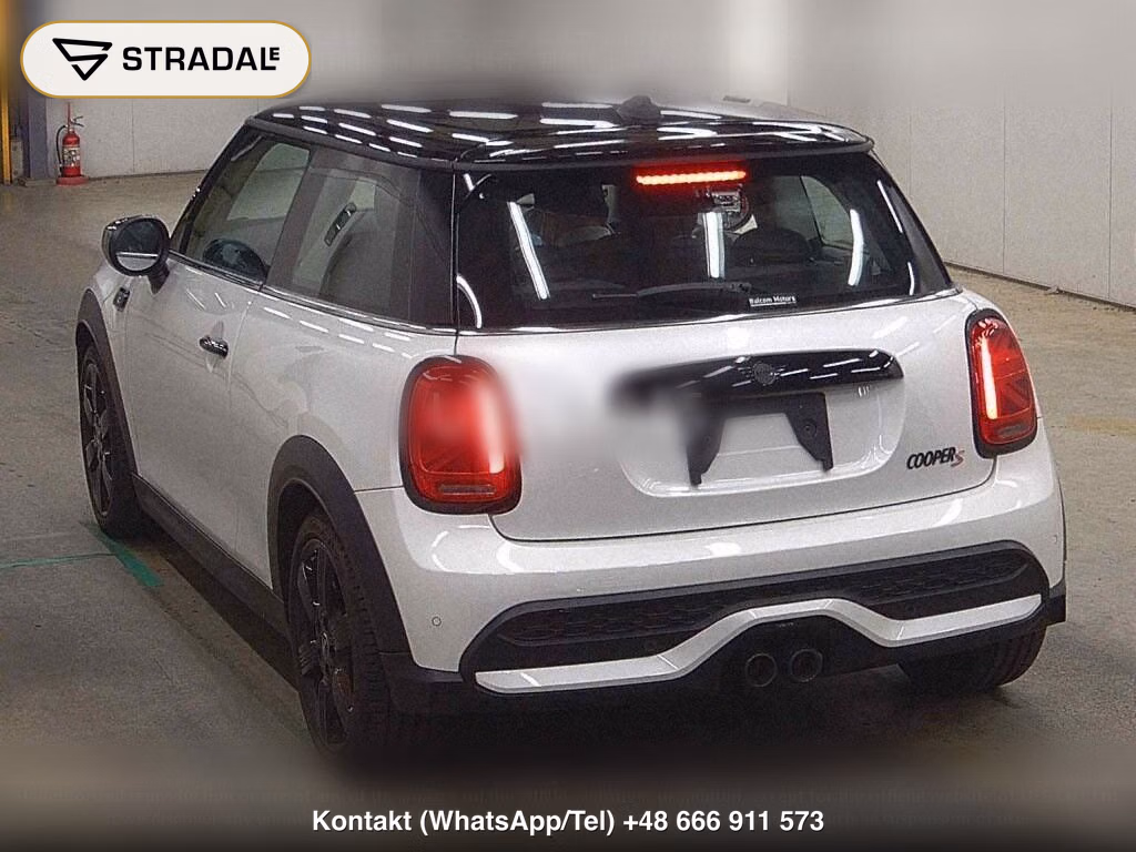 MINI MINI 3D COOPER S, miniaturka 3