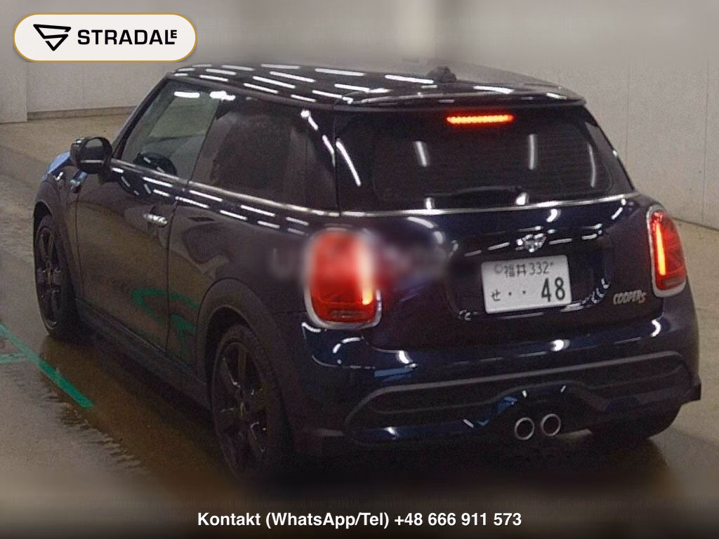 MINI MINI 3D COOPER S, miniaturka 3