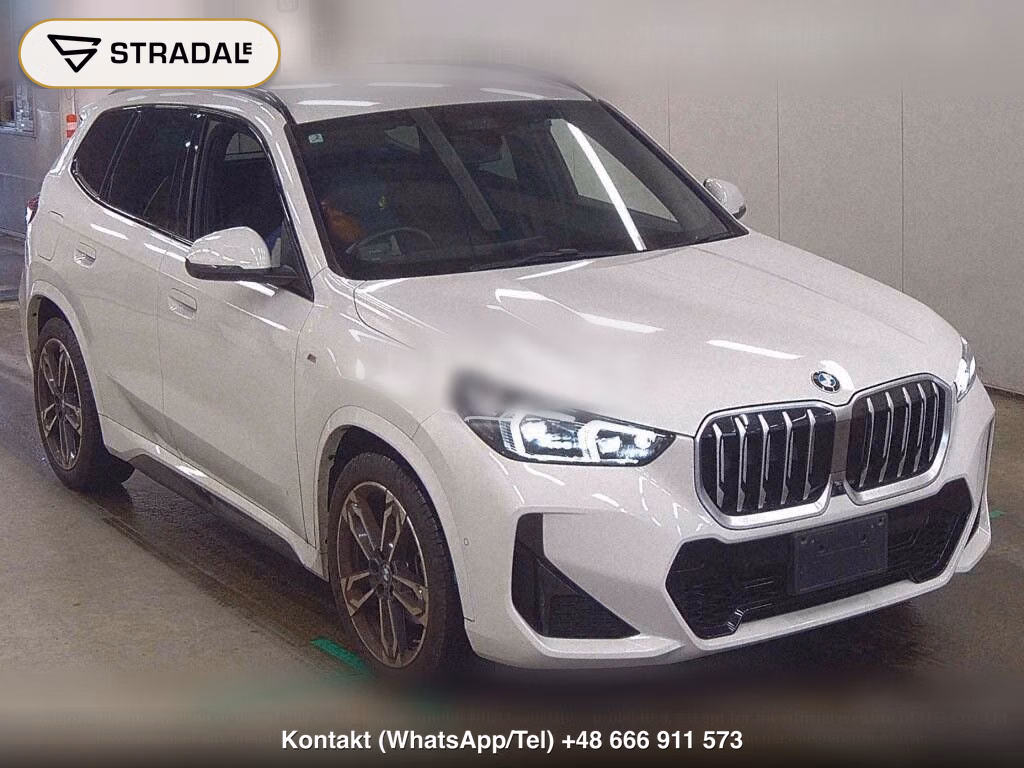 BMW X1 4WD XDRIVE 20D M-SPORT, miniaturka 2