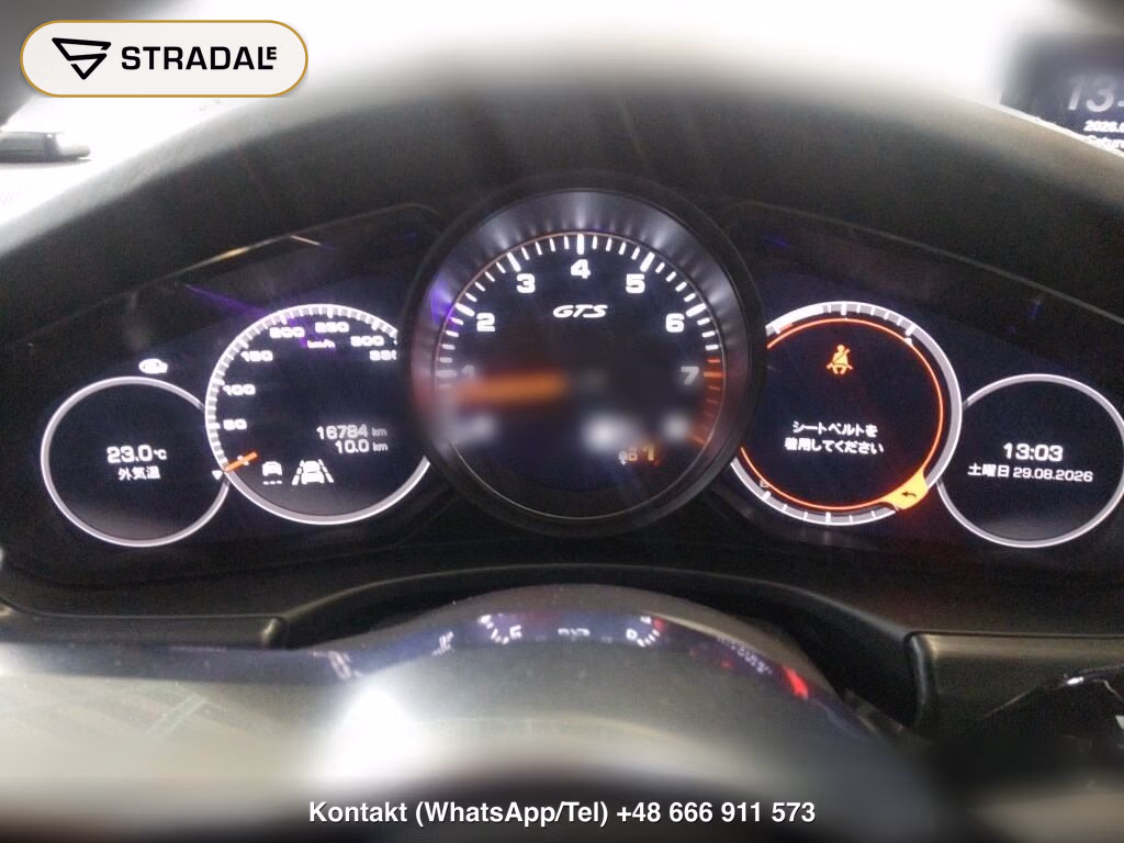 PORSCHE PANAMERA 5D 4WD OTHERS, miniaturka 7