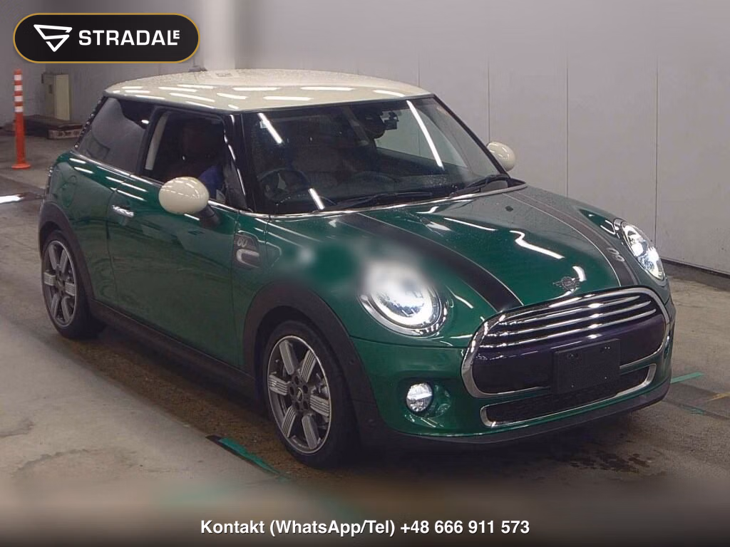 MINI MINI 3D COOPER D 60YEARS EDITION 2019, aukcja z Japonii, zdjęcie 1