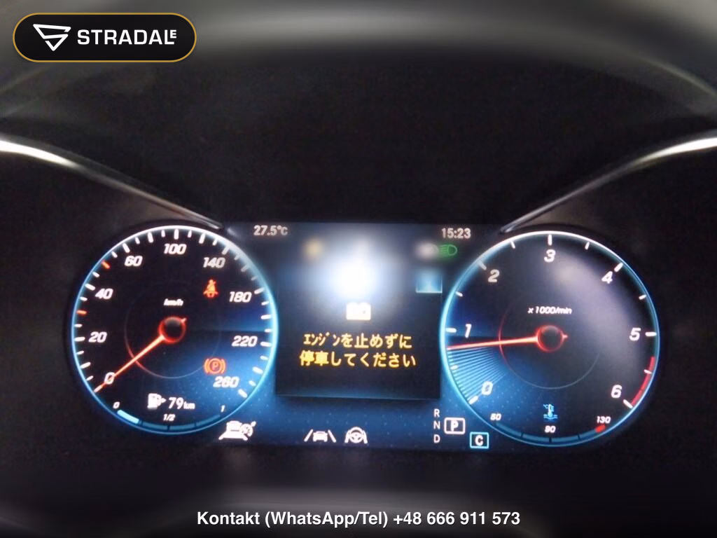 MERCEDES BENZ GLC-CLASS 4WD GLC220D 4MATIC SPORTS LINE EDITION, miniaturka 7