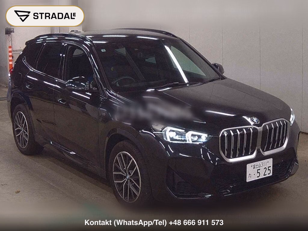 BMW X1 4WD XDRIVE 20D M-SPORT, miniaturka 2