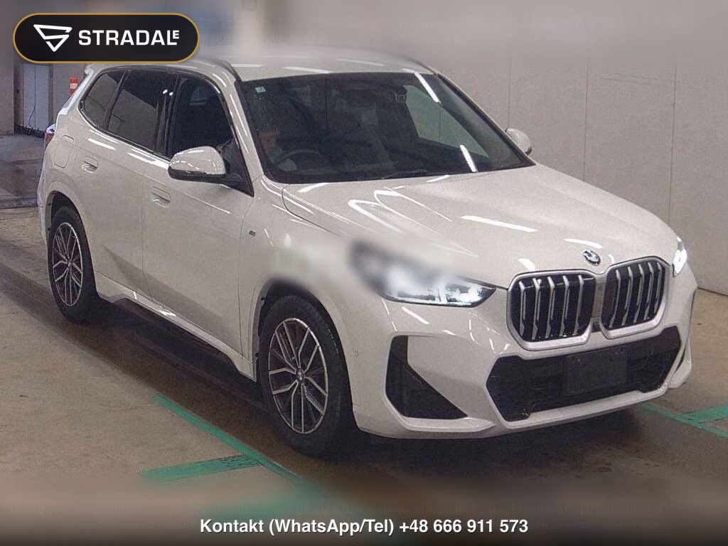 BMW X1 4WD XDRIVE 20D M-SPORT, miniaturka 2